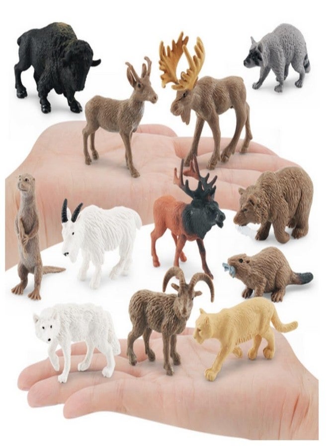 OUKEYI Realistic Jungle Animal Figurines，Forest Animal Toys Figures, Realistic Woodland Creatures Figurines, Plastic Animals Miniature Toys Cake Topper Supplies for Kids Toddlers 12 pcs - Image 3